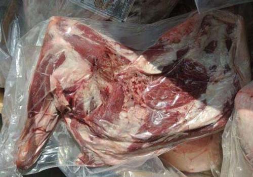 进口冻肉配合商检开箱查验