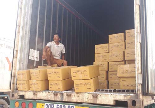 进口肉类食品装卸办理通关手续